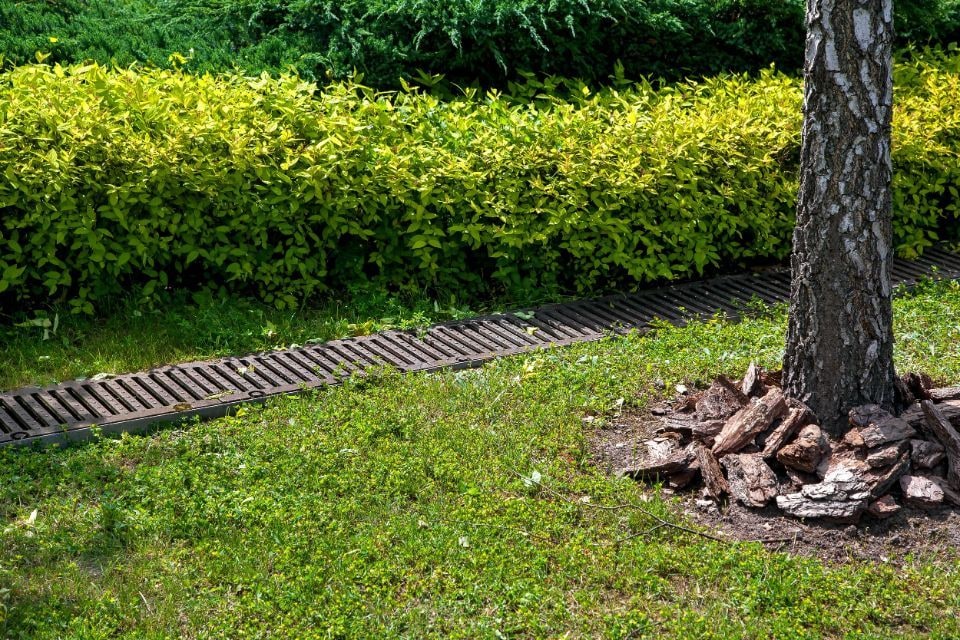 Canaletta di drenaggio posata a bordo prato, accanto a un albero